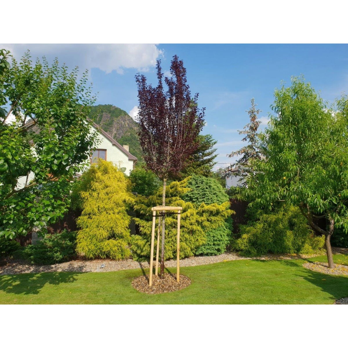 Amispol Skrytý zahradní obrubník, 12,5 x 600 cm – obrázok 13