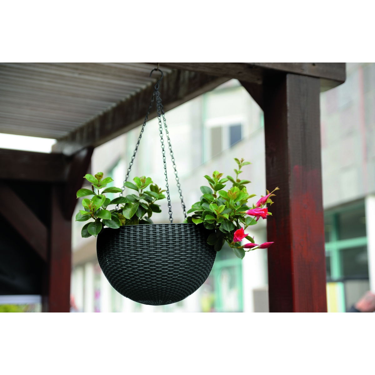 Keter Závěsný květináč Sphere tmavě hnědá, pr. 35 cm – obrázok 5