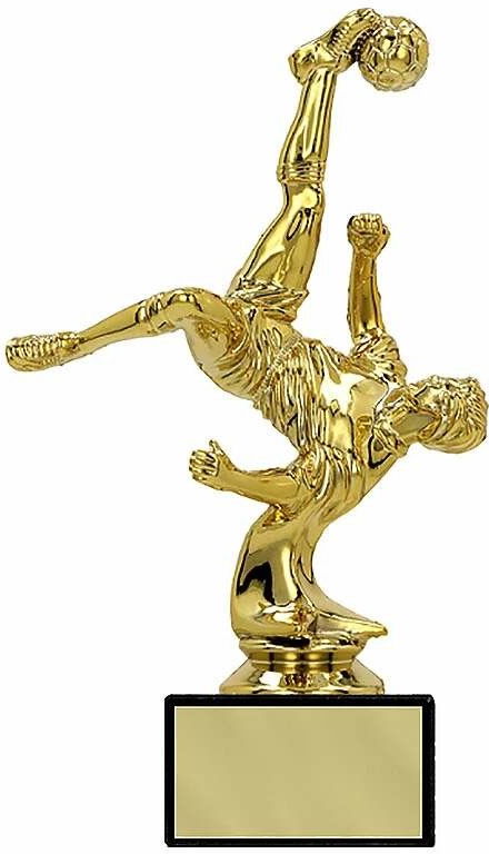 Kategória - Poháre a trofeje