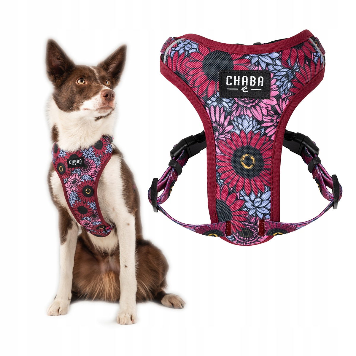 Beztlakové vychádzkové popruhy Guard Comfort pre psa – Chaba Lakota veľkosť M