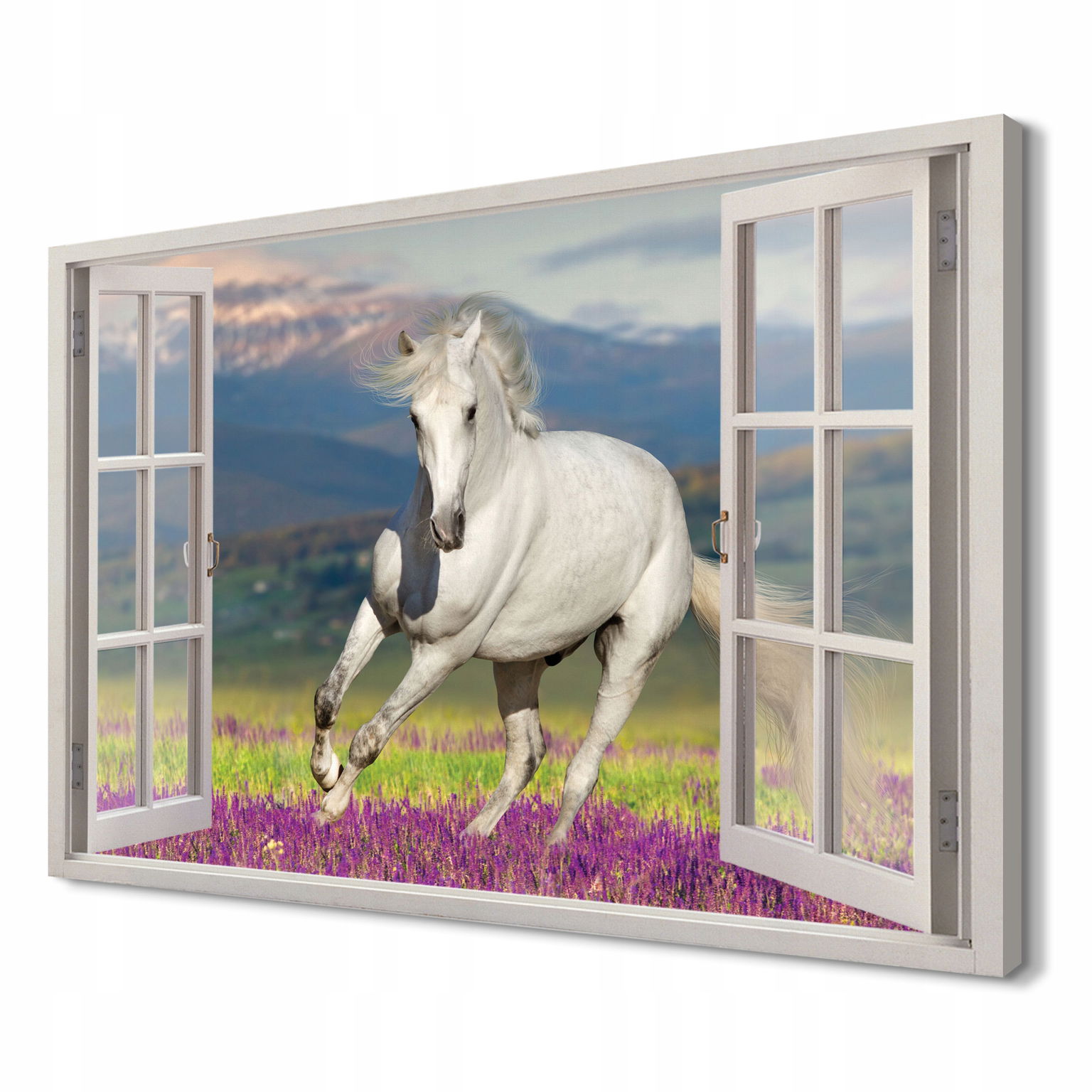 Biely kôň levanduľové pole Obraz na plátne 3D 120x80
