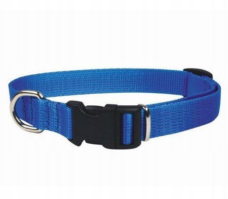 Chaba Obojok s nastaviteľnou páskou 20 mm x 46 cm, modrý