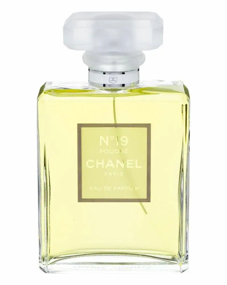 Chanel No 19 Poudre Parfumovaná voda 100 ml