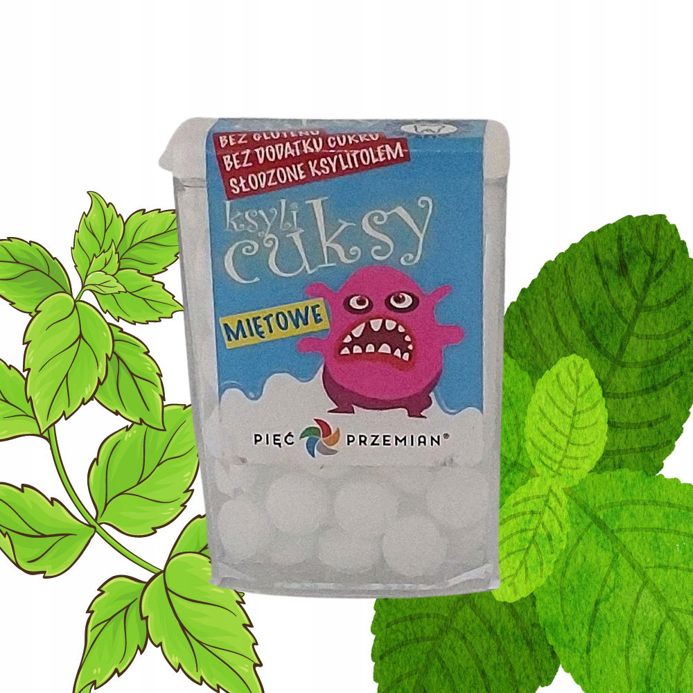 Cukríky XyliMätové cukríky Pięć Przemian 13 g