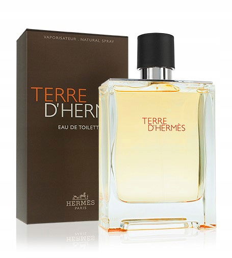 Hermes Terre D'Hermes, Toaletná voda, 100 ml, Toaletná voda