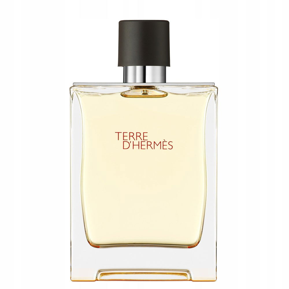 Hermes Terre D'Hermes toaletná voda sprej 200 ml