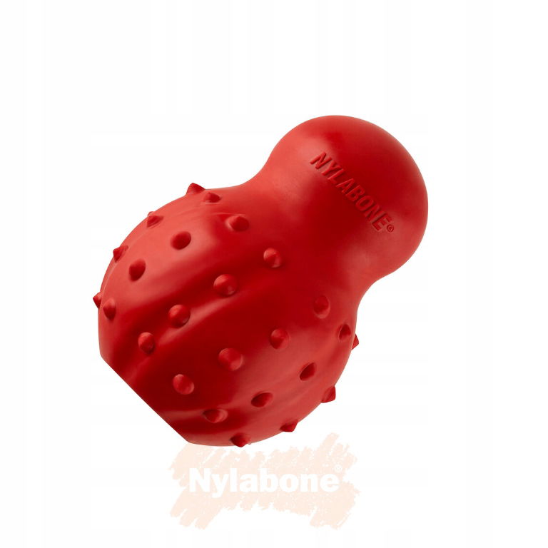 Hračka s kužeľom pre psa s príchuťou slaniny Strong Cone, veľkosť Xs Nylabone