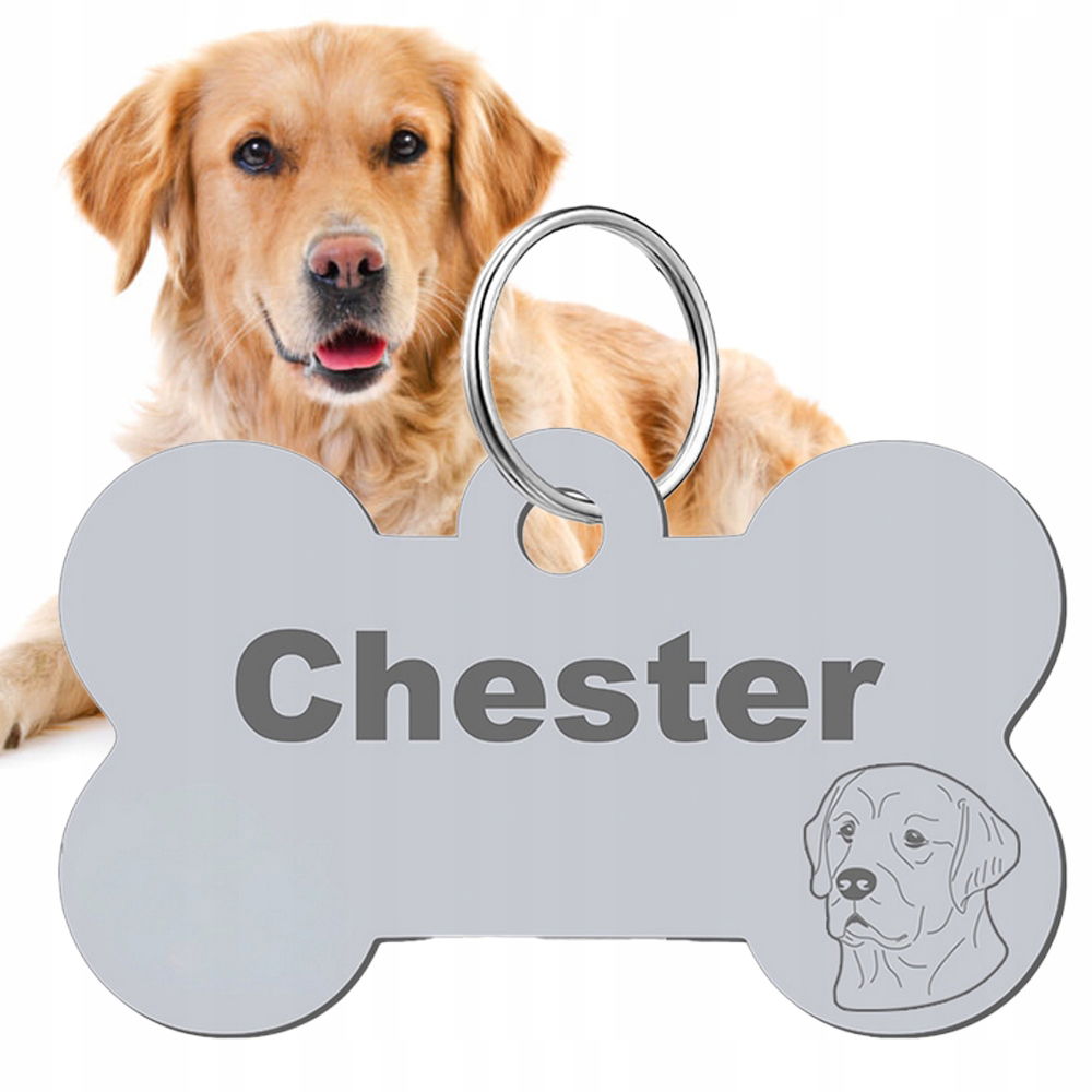 Identifikátor pre psa Golden Retriever 36x22 mm Obojstranná Gravírovacia Súprava Zadarmo
