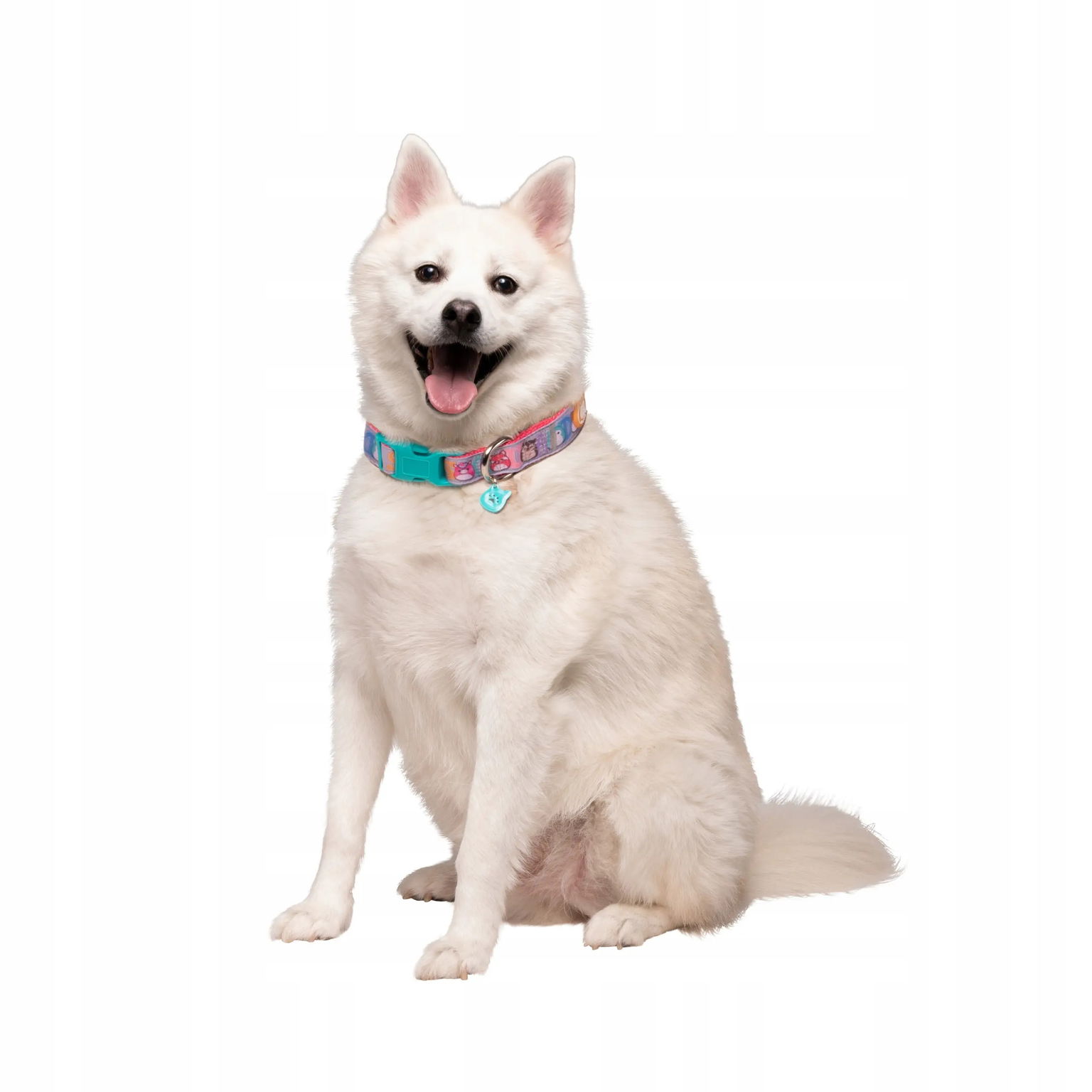 Jas Pets Obojok Pre Psa L Jazwares