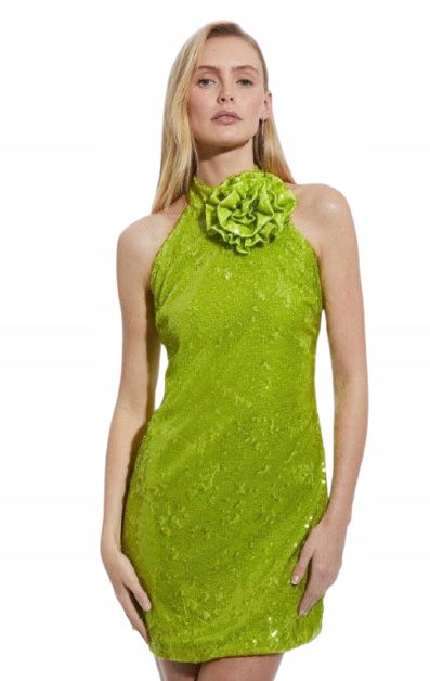 Karen Millen Mini Šaty Zelené S Flitrami 36 B1F