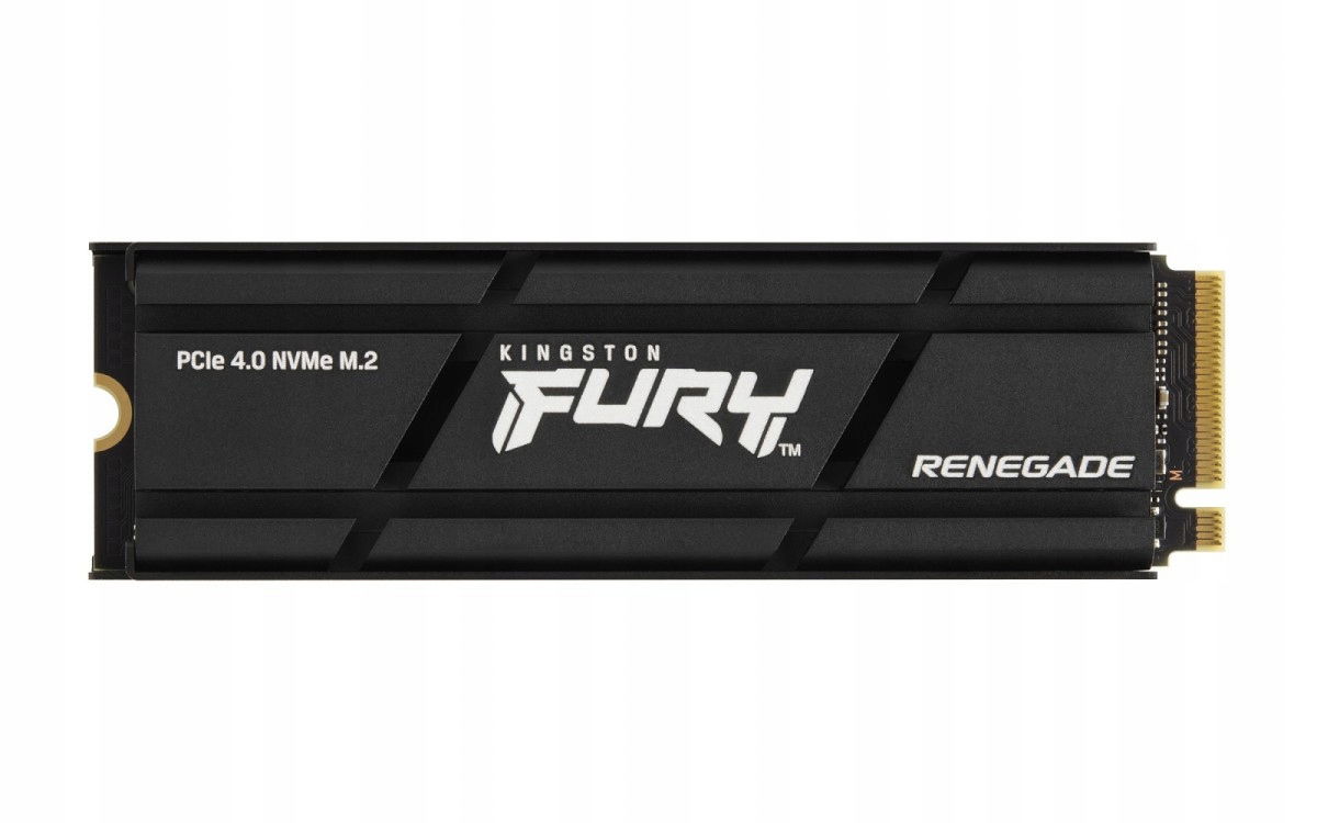 Kingston Fury Renegade 1TB Ssd M.2 PCIe 4.0