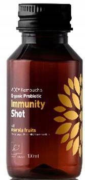 Kombucha bio probiotikum imunita shot 100 ml