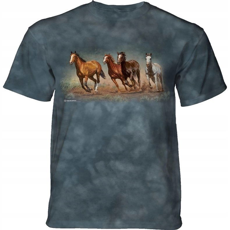 Kone odletia The Mountain 2XL