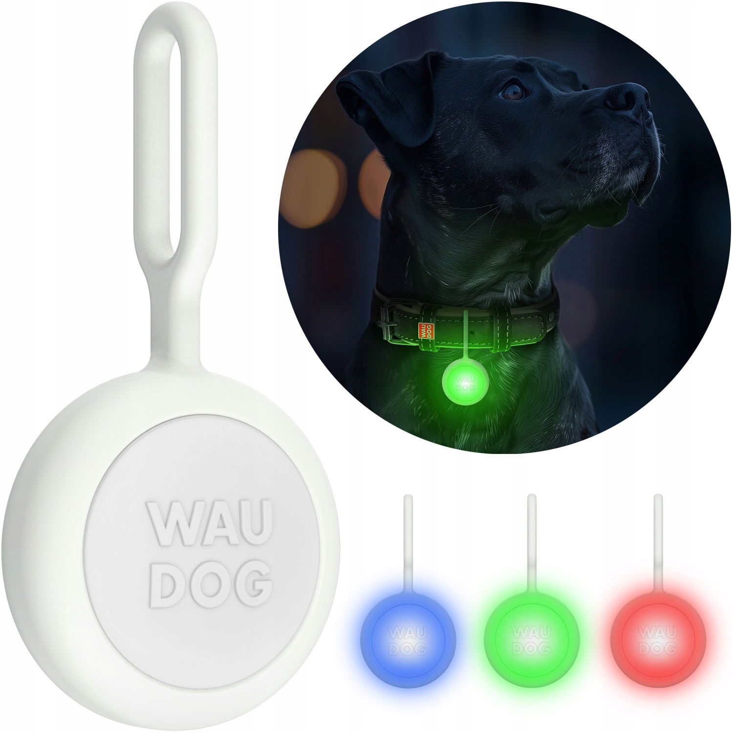 Led baterka pre psa, v svietiacom silikónovom puzdre, Usb, priemer 37 mm
