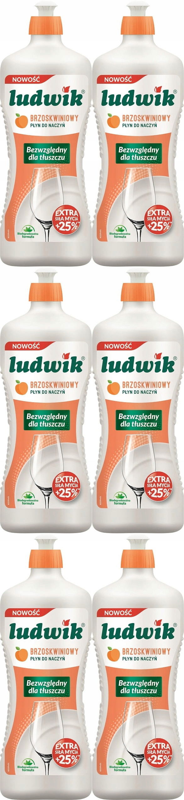 Ludwik Broskyňa na riad 6x900 ml