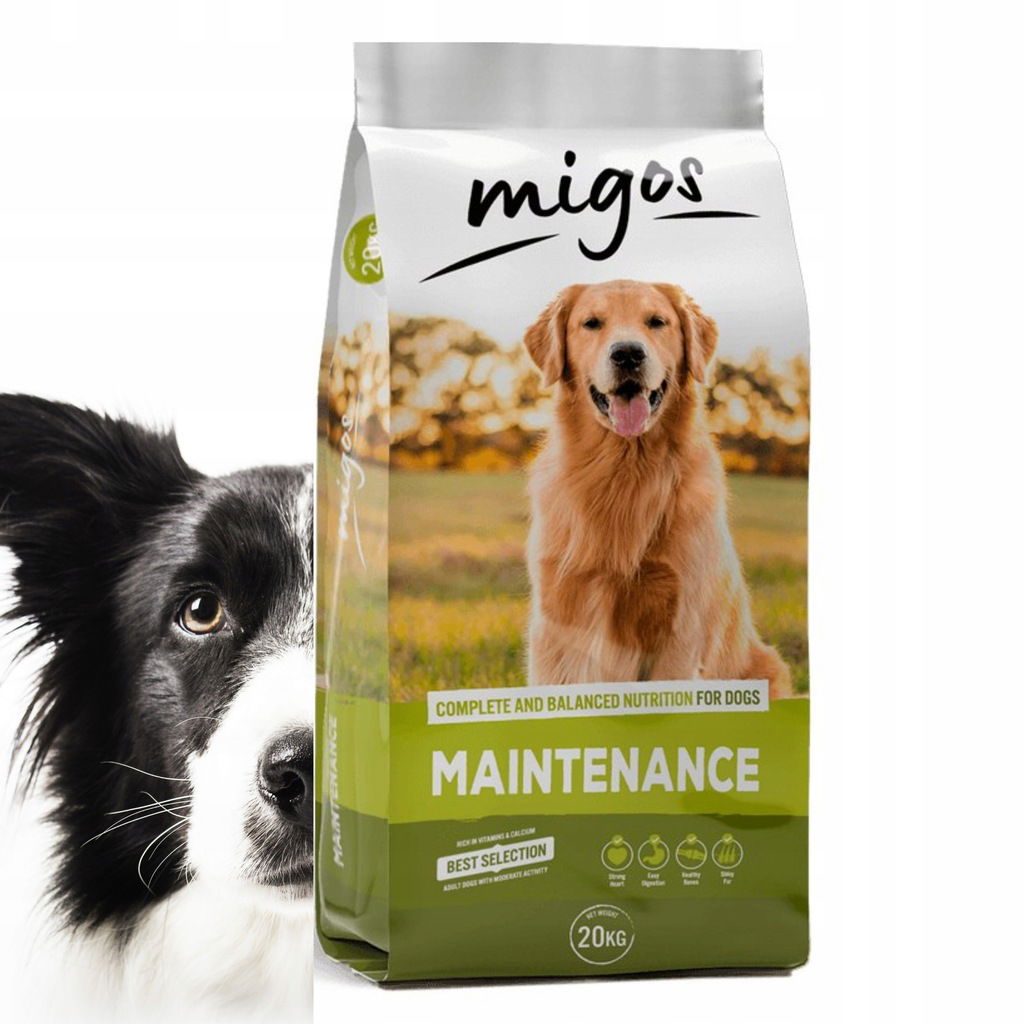 Migos Maintenance 20 kg