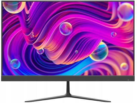 Monitor Hikvision DS-D5024F2-BV2S
