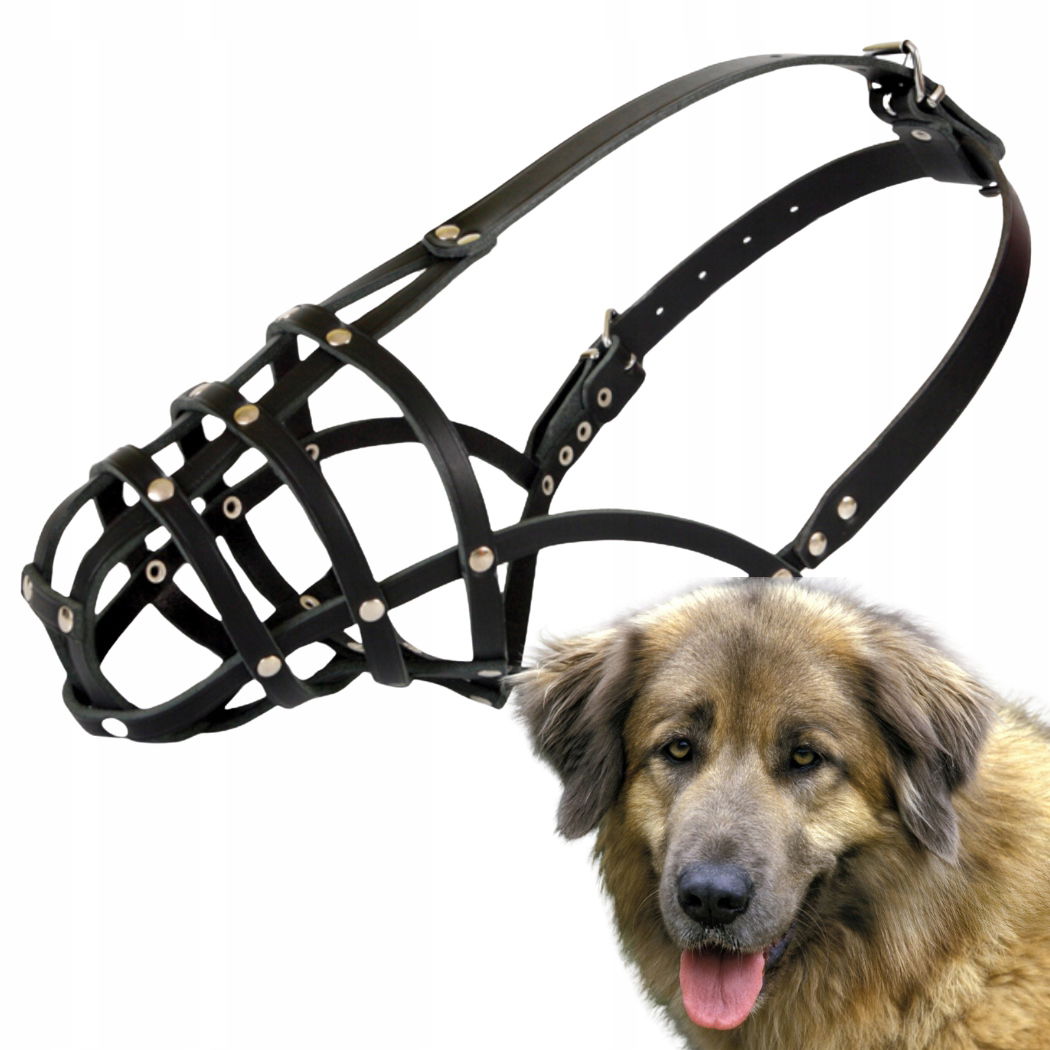 Náhubok pre psa, Dingo Kožený Nitovaný Nr 12 (obvod 44 cm) Kaukaz