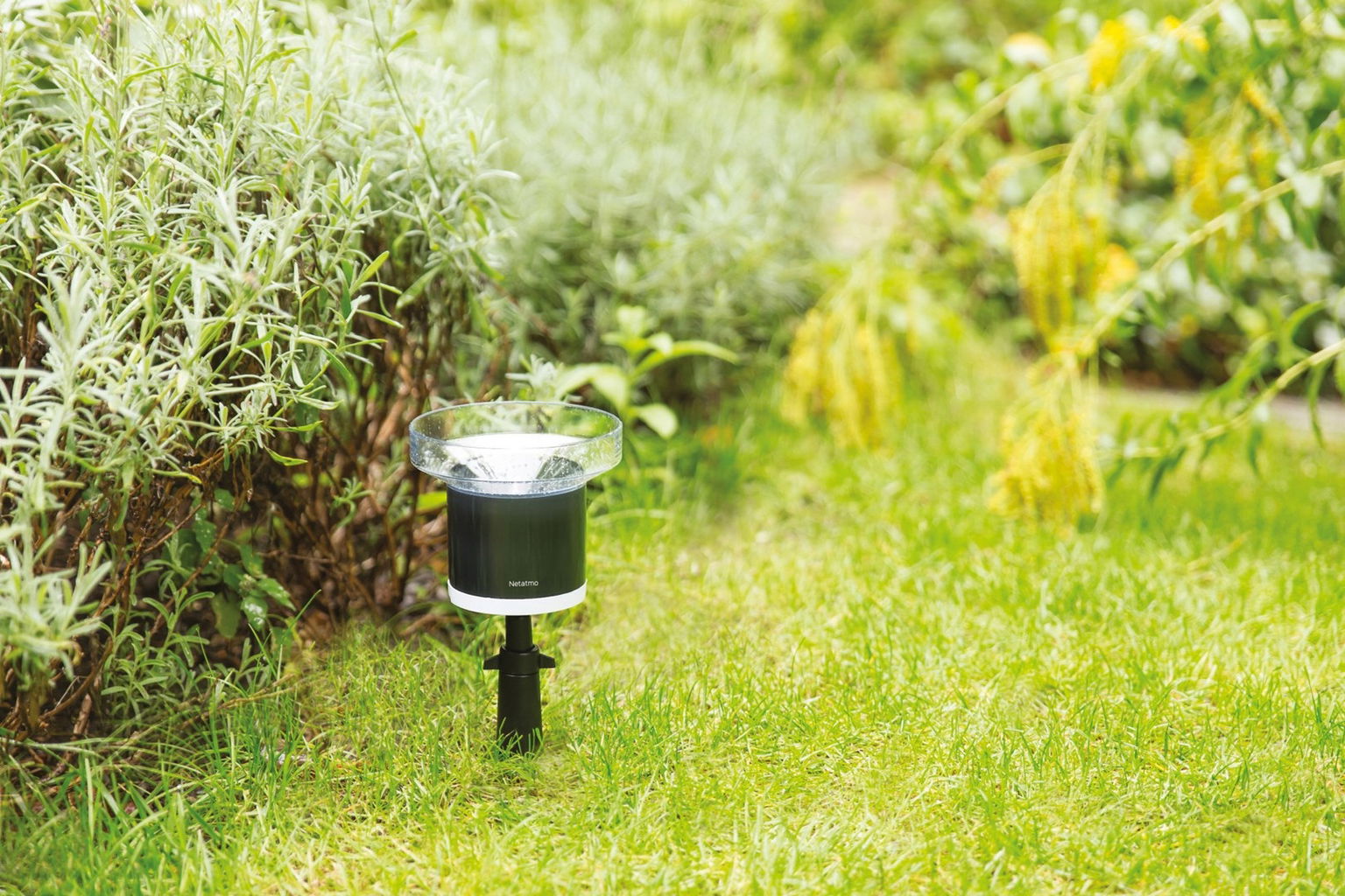 Netatmo NRG01-WW dažďové meradlá 10 cm Bezdrôtové čierne