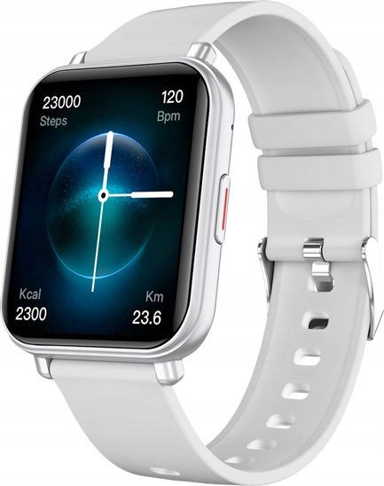 Niceboy Watch 4 Artic silver