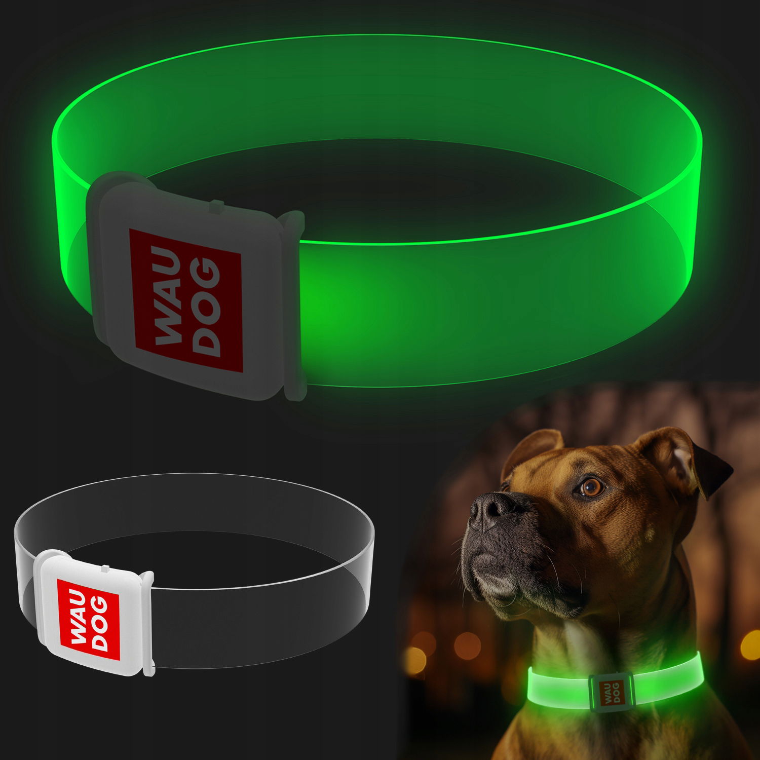 Obojok pre psa s Led podsvietením Waudog, magnetická spona, dĺžka 35 cm