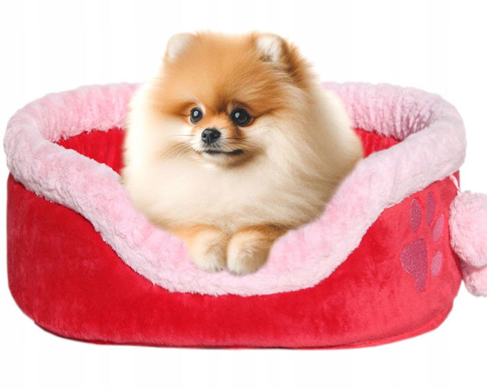 Pelech pre psa pomeraniana, miniatúrny špic