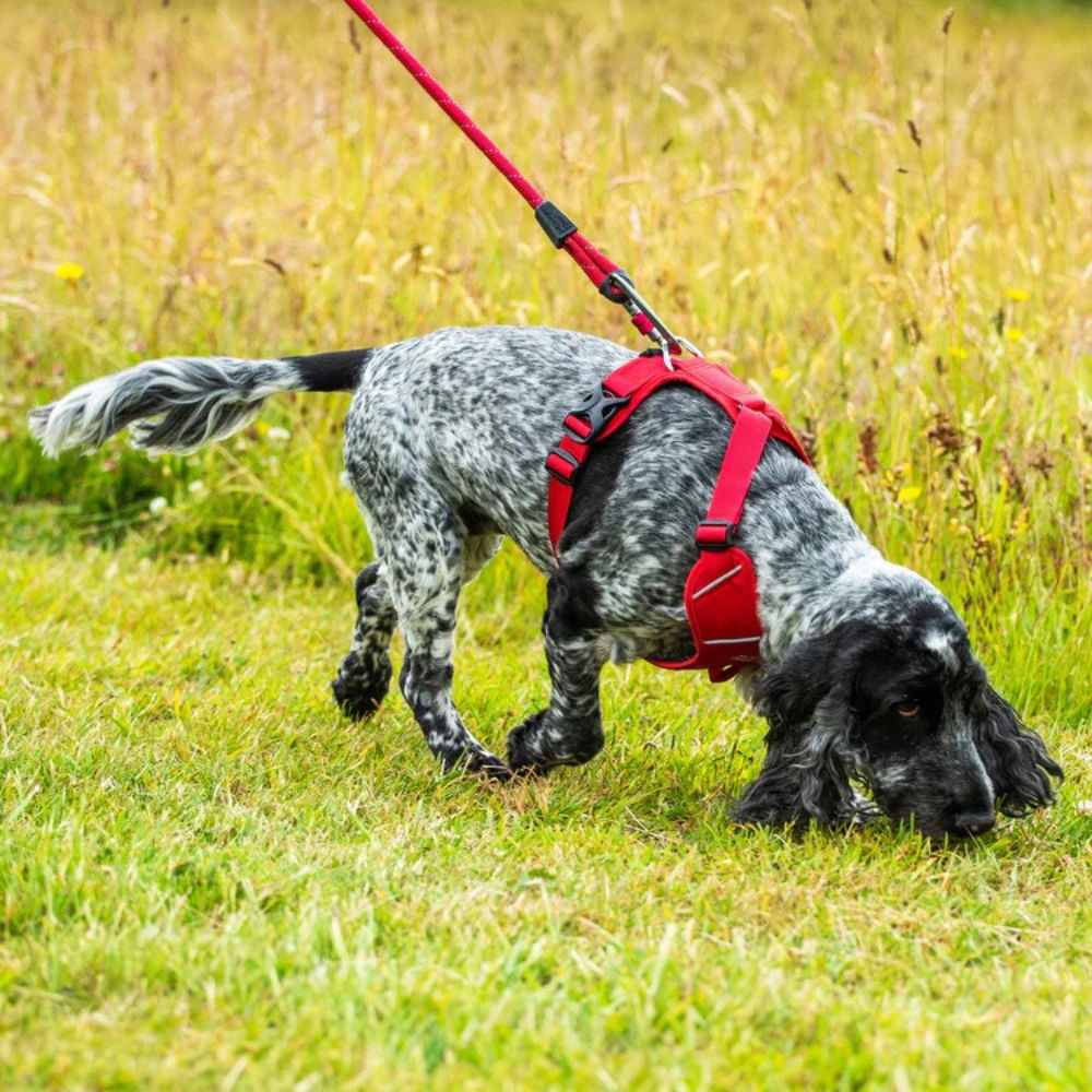 Postroj pre psa Mountain Paws červený M