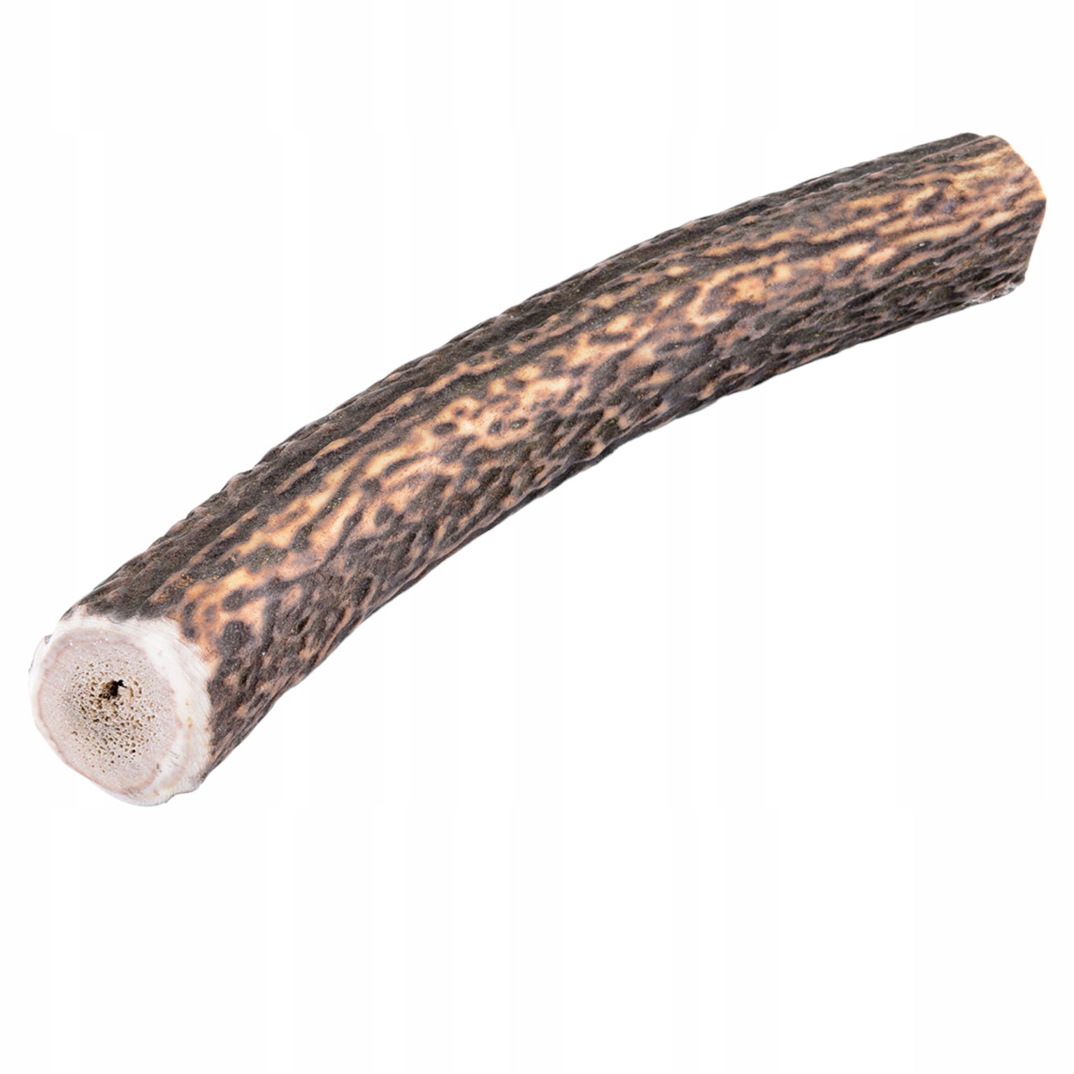 Prírodné hryzátko z jelenieho parohu veľkosť XXL+ Hard 160-240 g