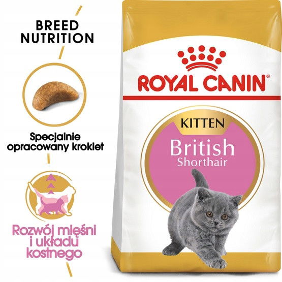 Royal Canin British Shorthair Kitten suché krmivo pre mačiatka do 12 mesiacov