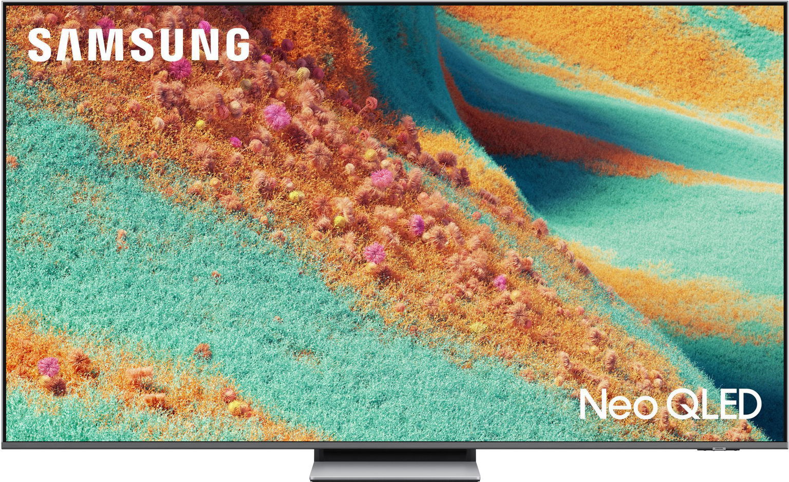 65" Samsung QE65QN85F