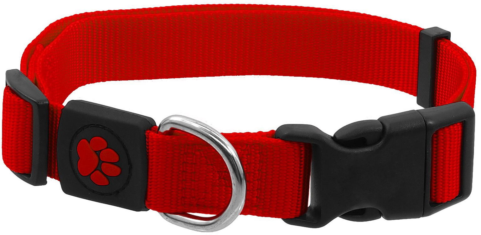 ACTIVE obojok Premium L červený 2,5 × 45 – 68 cm