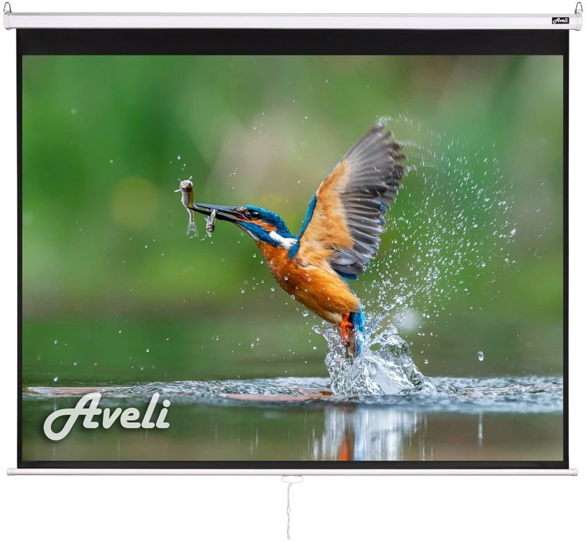 AVELI roleta, 73", (4 : 3)