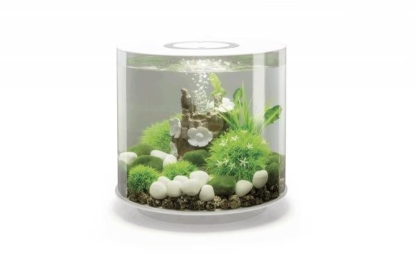 biOrb Tube 15 LED biela
