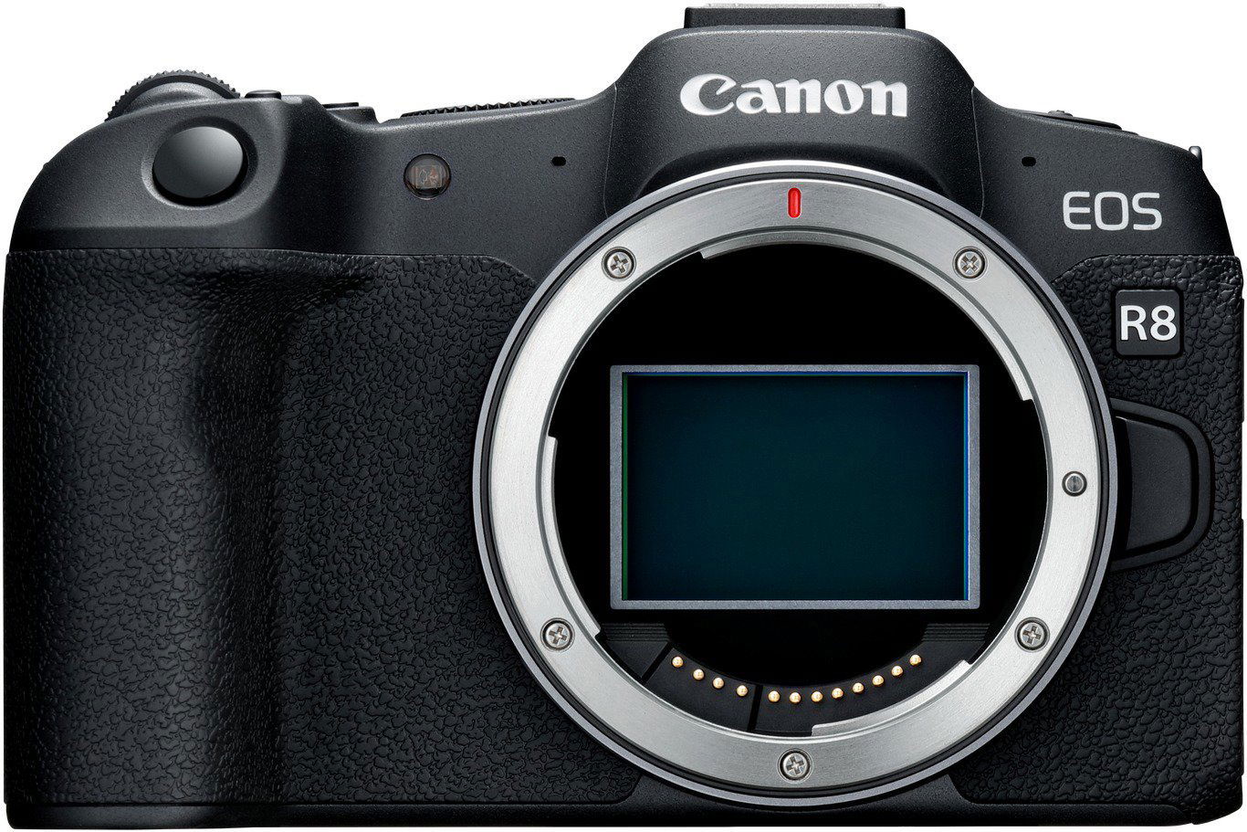 Canon EOS R8 + RF 24-105 F4-7.1 IS STM