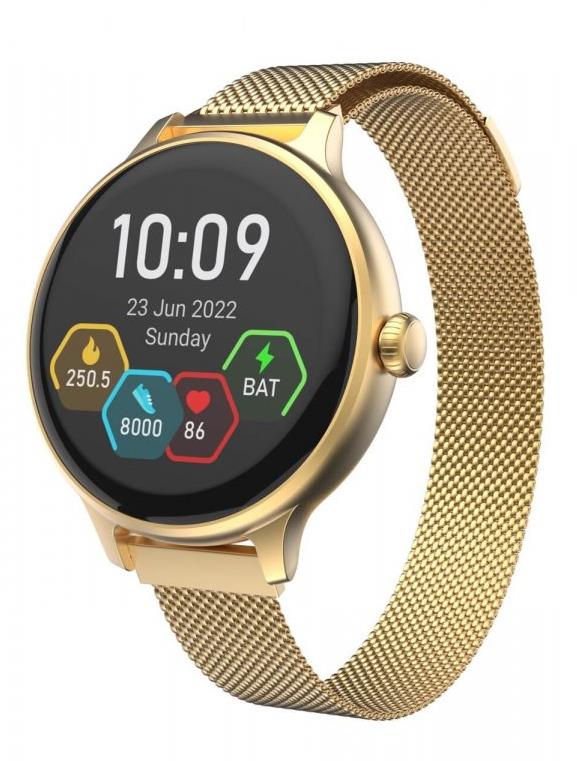 CARNEO Hero mini HR+ gold