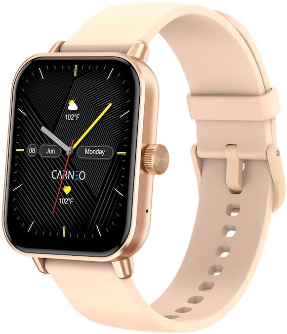 CARNEO Versa HR+ rosegold