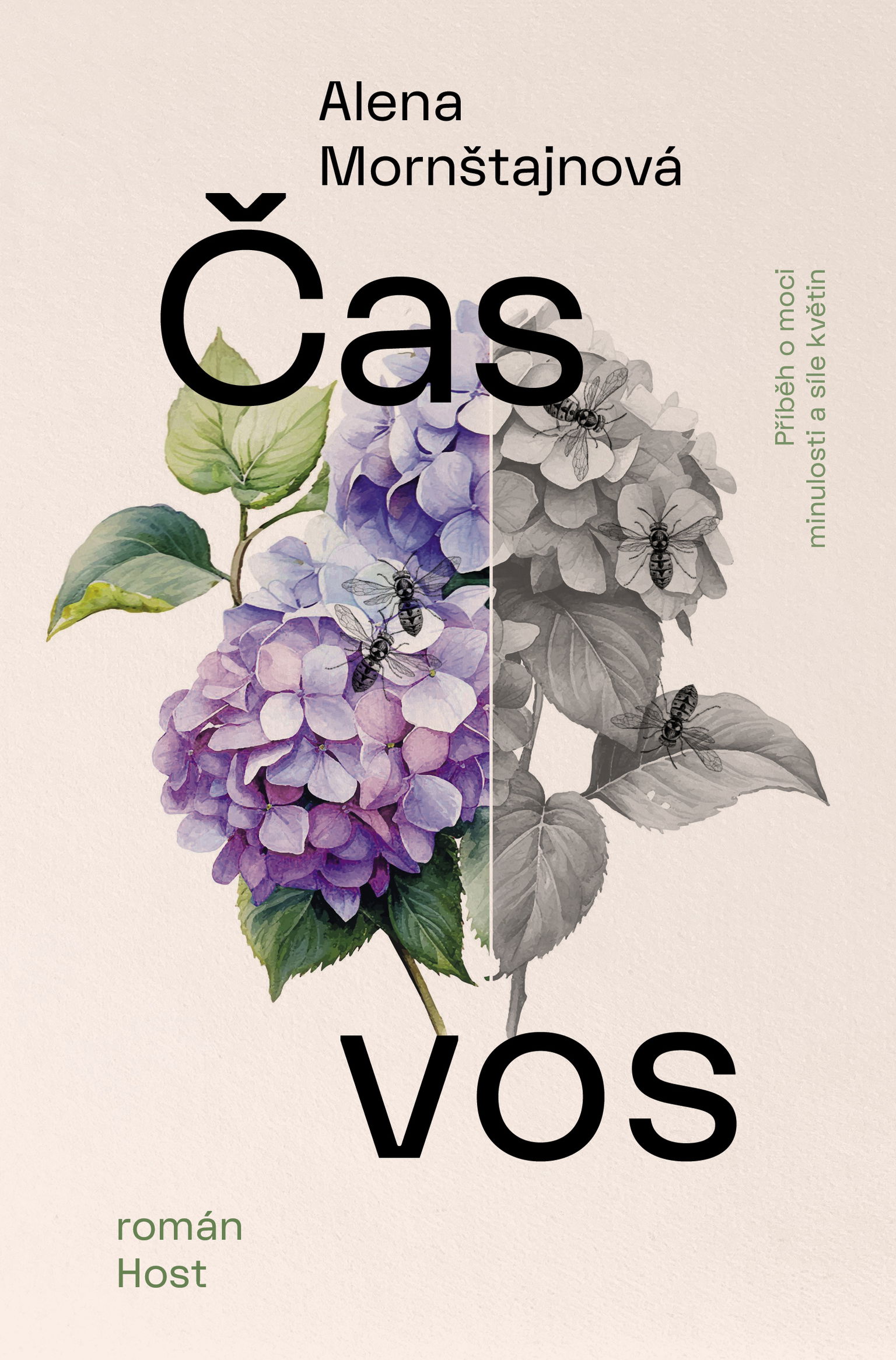 Čas vos
