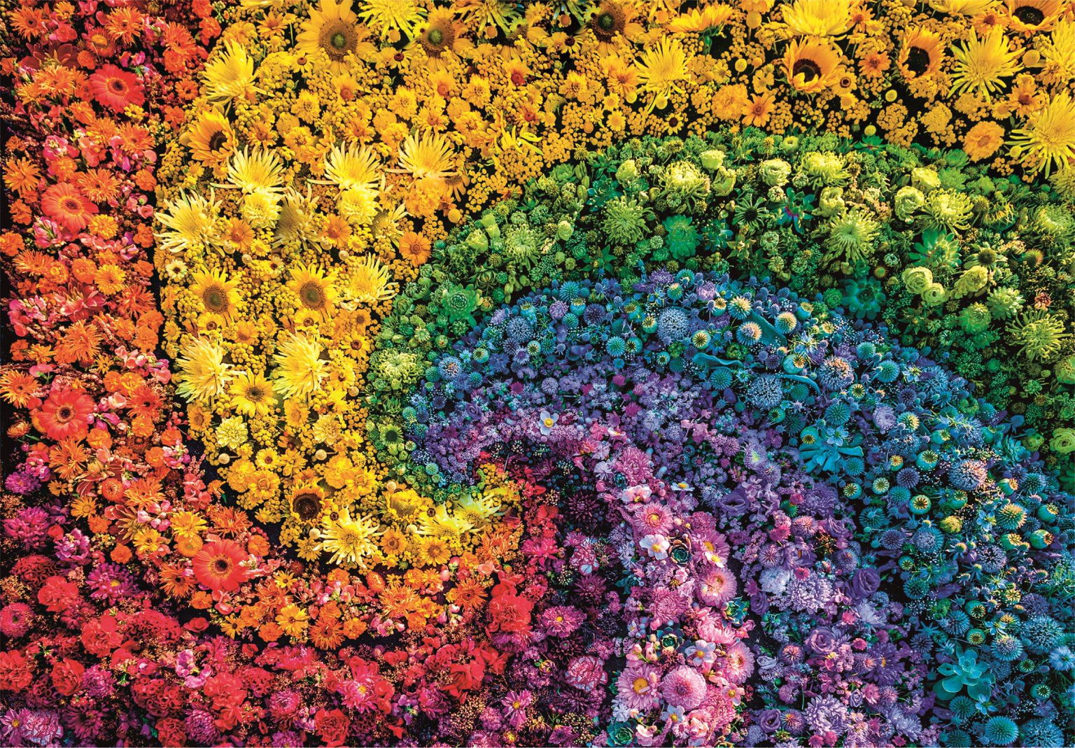 CLEMENTONI ColorBoom: Vír 1000 dielikov