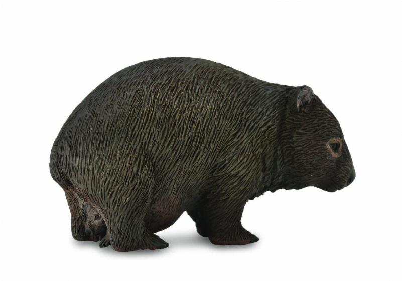 Collecta vombat