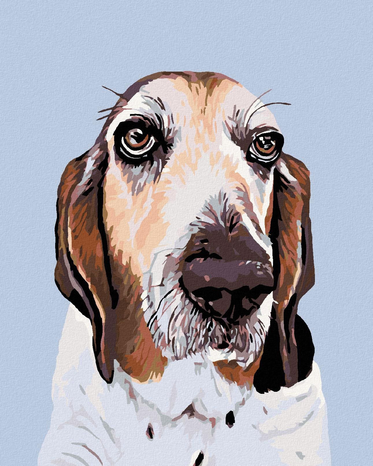 Diamondi – BASET, 40 × 50 cm, bez rámu a bez napnutia plátna