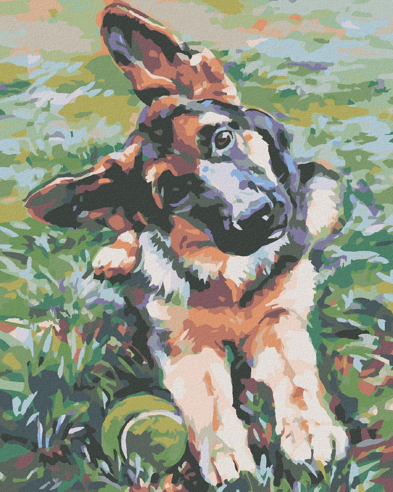 Diamondi – ŠTEŇA OVČIAKA, 40 × 50 cm, bez rámu a bez napnutia plátna