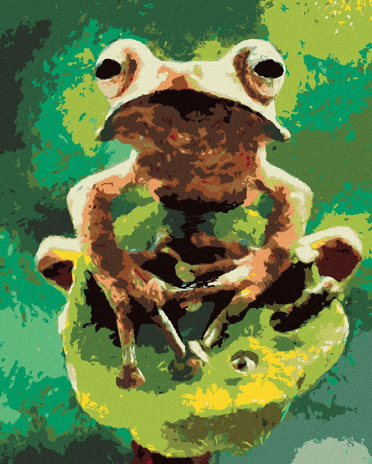 Diamondi – ŽABA V LESE, 40 × 50 cm, napnuté plátno na rám