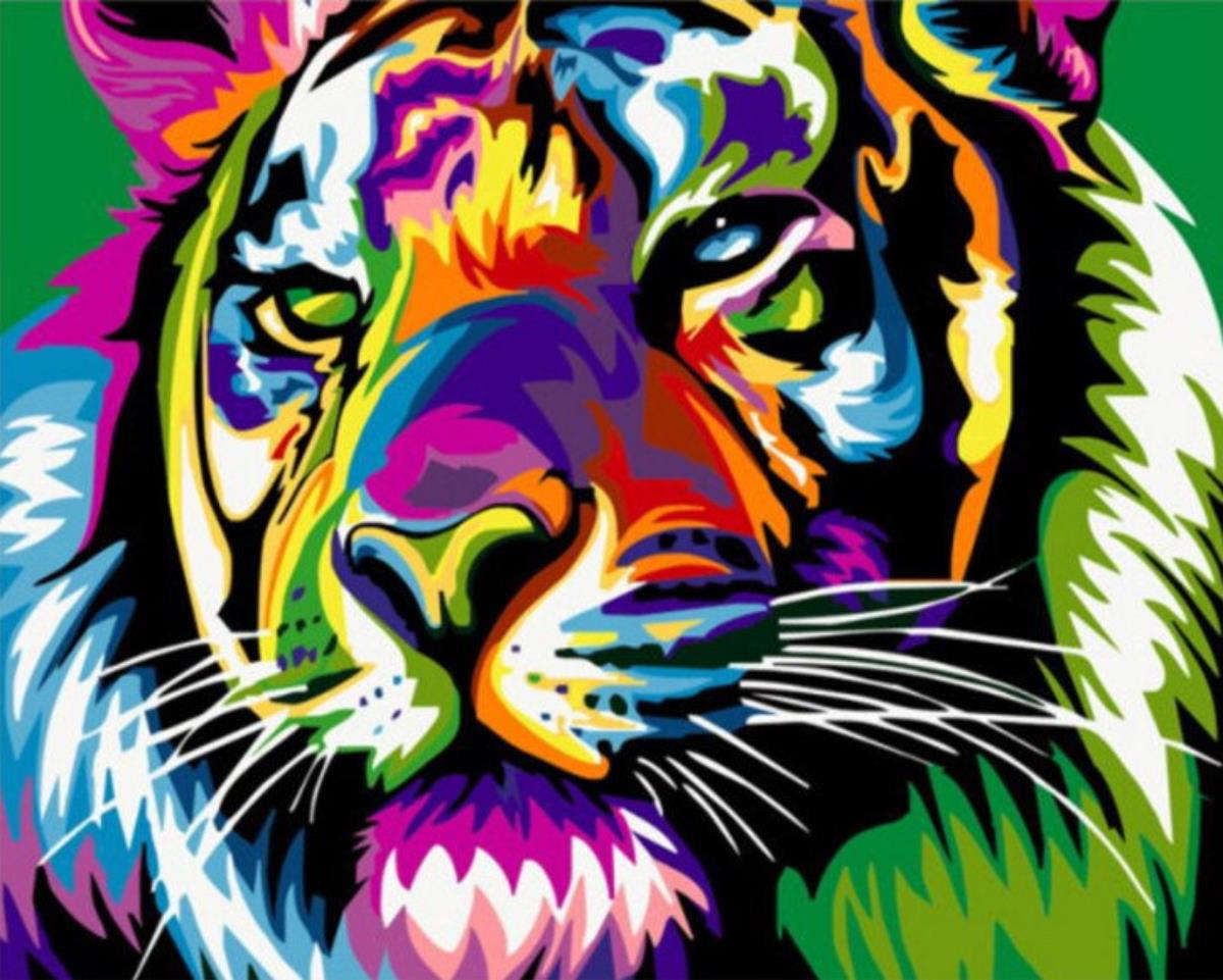 Gaira Tiger M991302