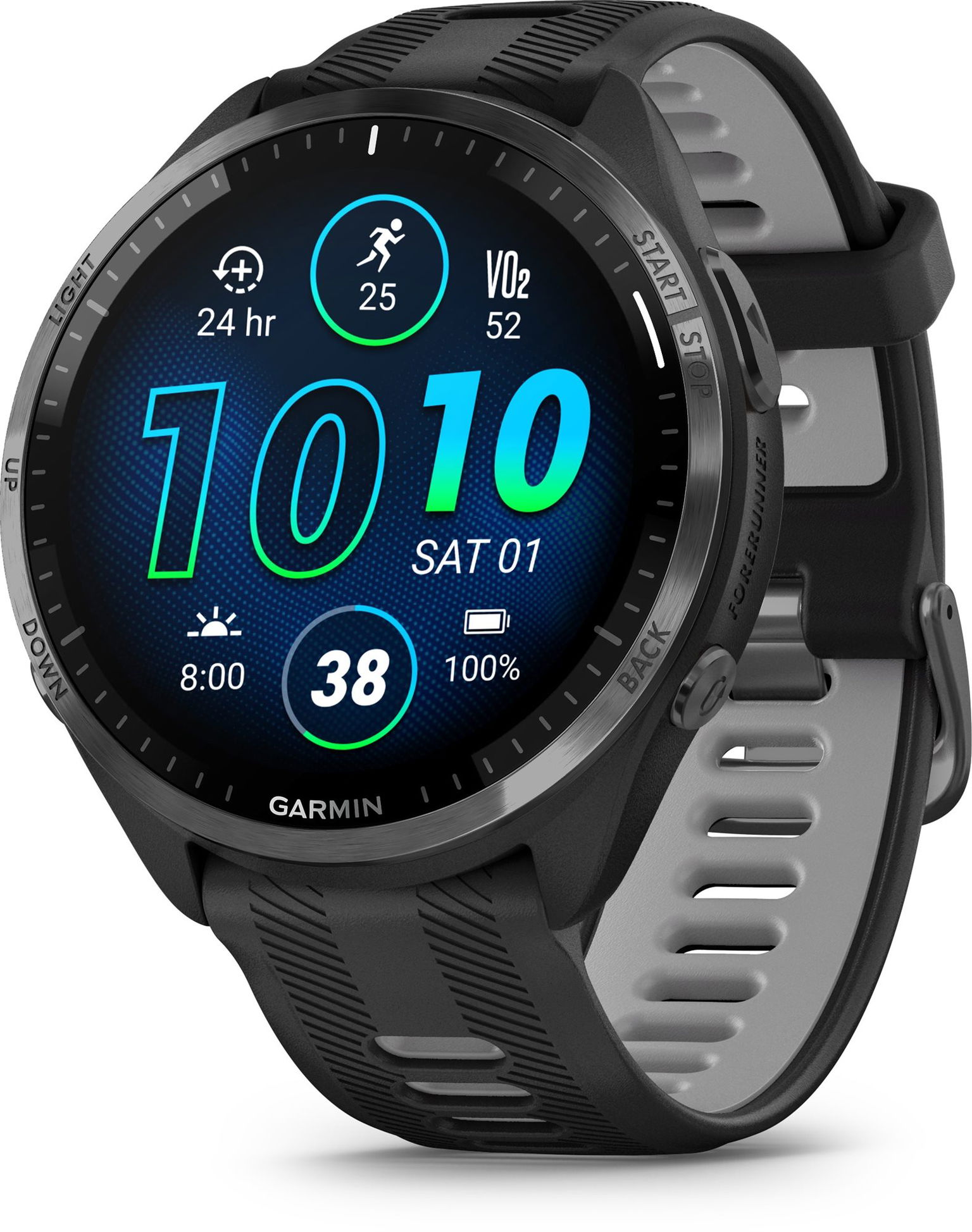Garmin Forerunner 965 Black/Powder Gray