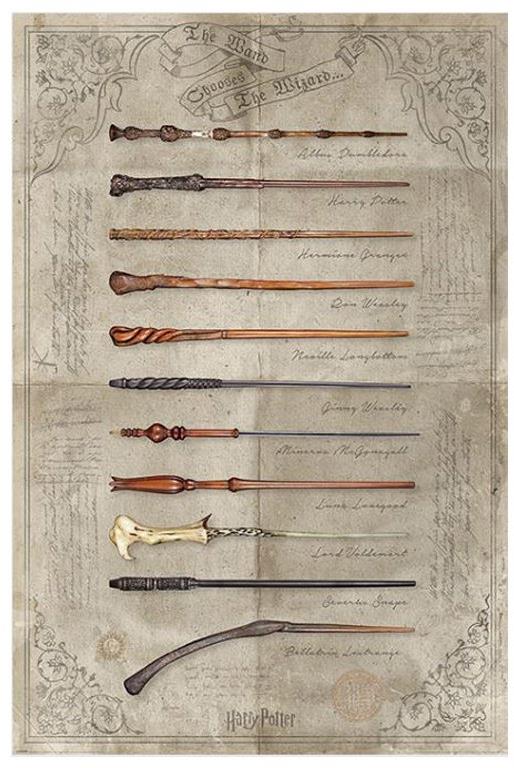 Harry Potter The Wand Chooses The Wizard