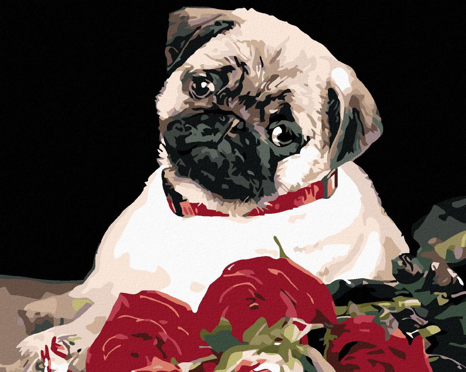 Maľovanie podľa čísel – Mops, 50 × 40 cm, napnuté plátno na rám