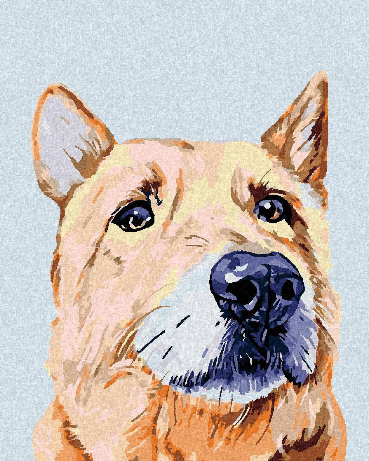 Maľovanie podľa čísel – Smutný pes, 40 × 50 cm, napnuté plátno na rám