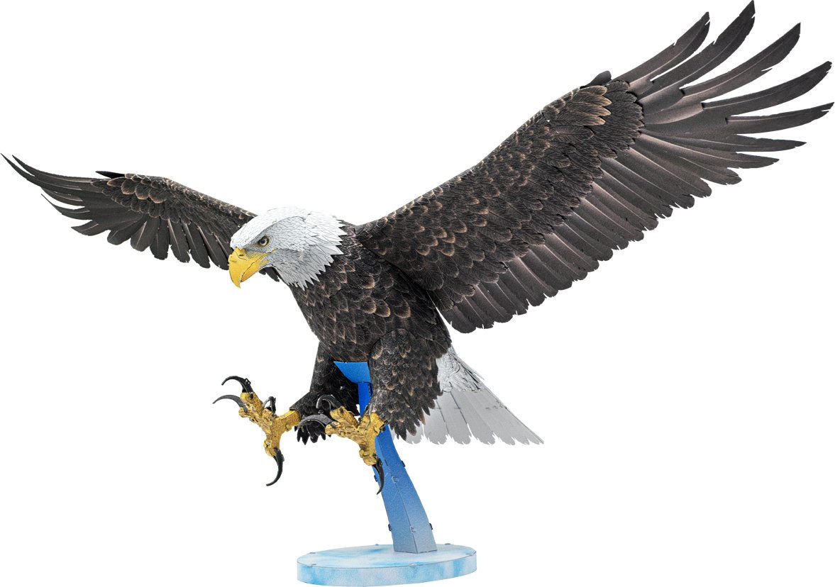 METAL EARTH 3D puzzle Premium Series: Orol bielohlavý