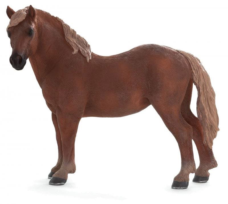 Mojo – Kôň Suffolk punch – kobyla