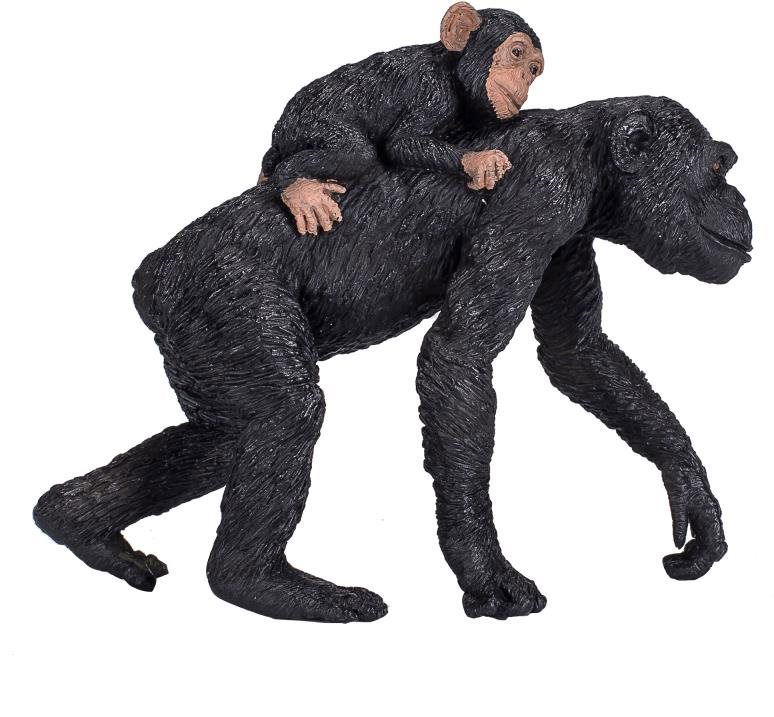 Mojo – Šimpanz s mláďaťom